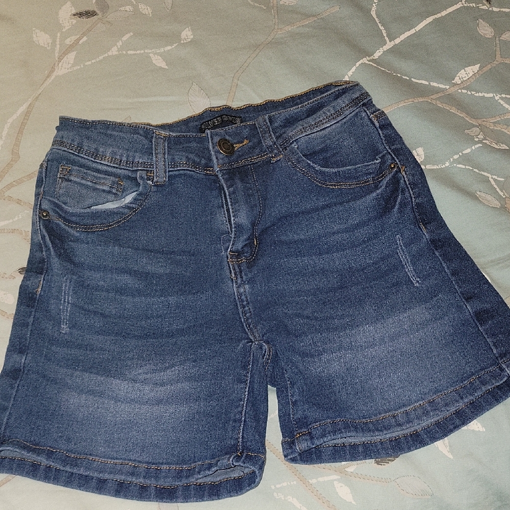 Stylish Blue Denim Shorts